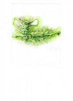 /album/kekszem-jazmin-irkaja-illusztraciok/hernyo-elvarazsolt-tunder-600-jpg/